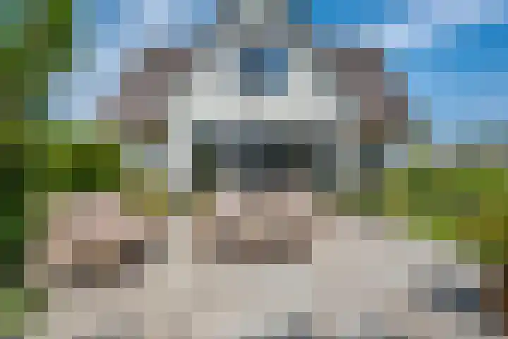 Kraggepad 25 Scheerwolde thumbnail 49