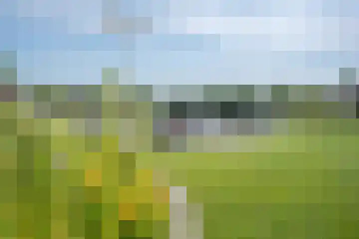 Kraggepad 25 Scheerwolde thumbnail 51