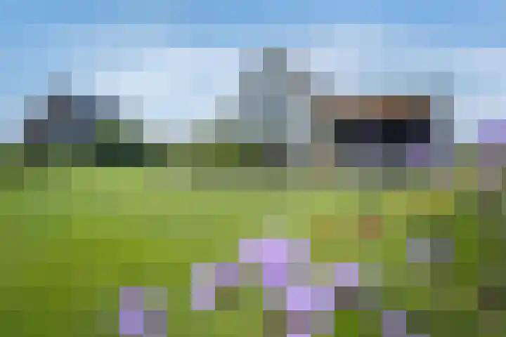 Kraggepad 25 Scheerwolde thumbnail 52
