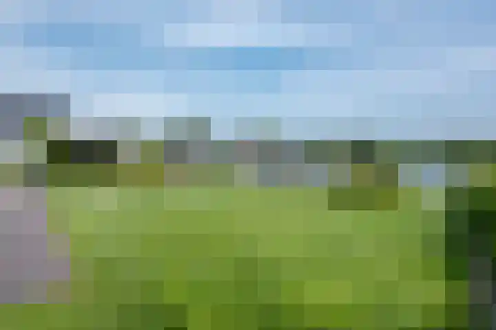 Kraggepad 25 Scheerwolde thumbnail 53