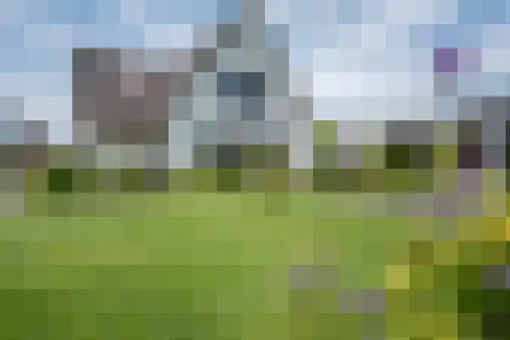 Kraggepad 25 Scheerwolde thumbnail 55