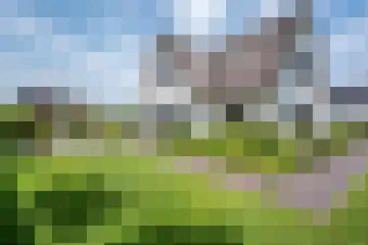Kraggepad 25 Scheerwolde thumbnail 56