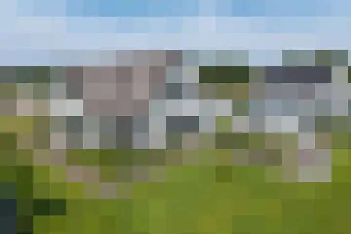 Kraggepad 25 Scheerwolde thumbnail 58