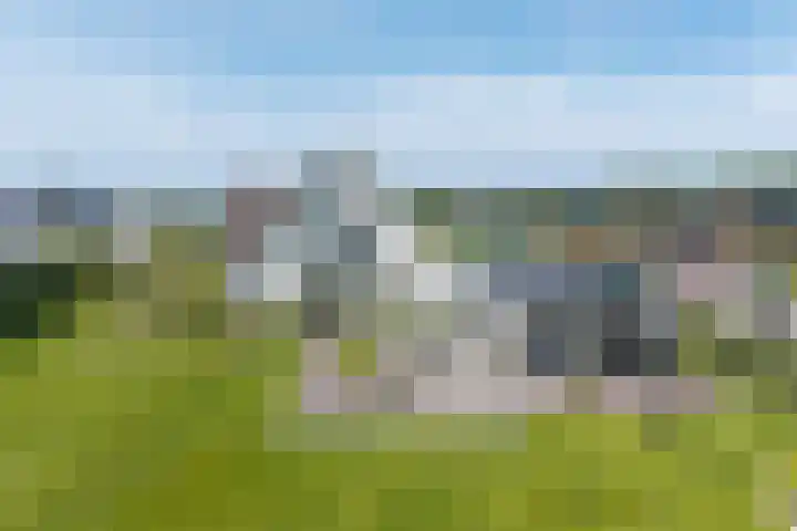 Kraggepad 25 Scheerwolde thumbnail 60