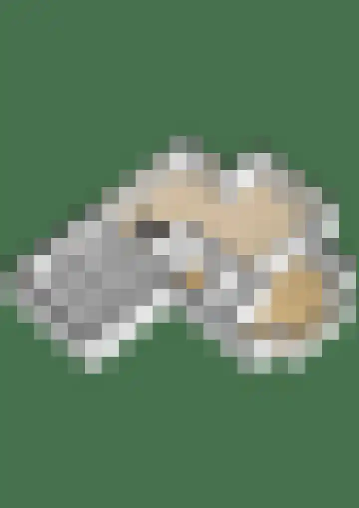 Kraggepad 25 Scheerwolde thumbnail 64