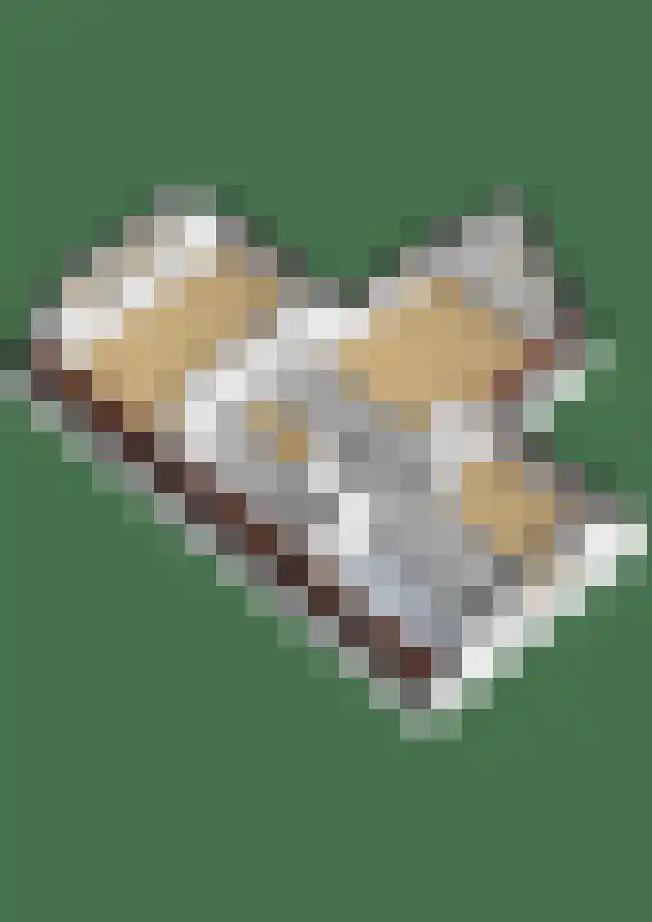 Kraggepad 25 Scheerwolde thumbnail 66