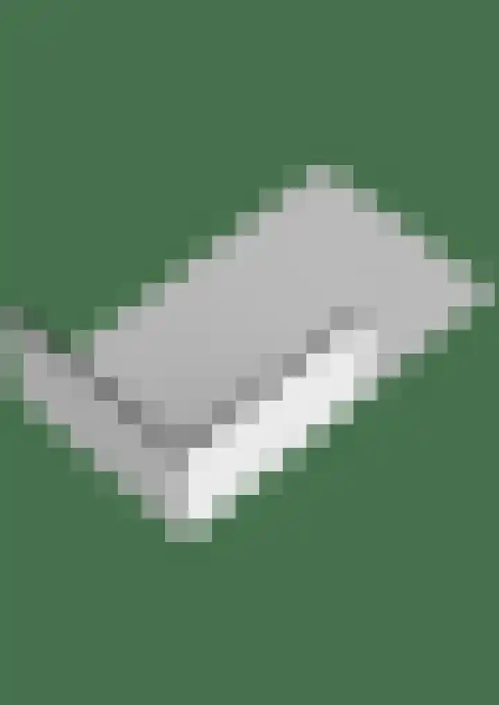 Kraggepad 25 Scheerwolde thumbnail 68
