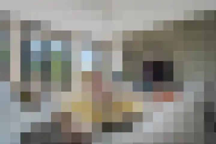 Kraggepad 25 Scheerwolde thumbnail 7