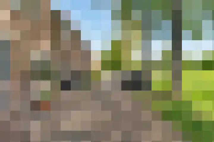 Kraggeveenstraat 68 Purmerend thumbnail 5