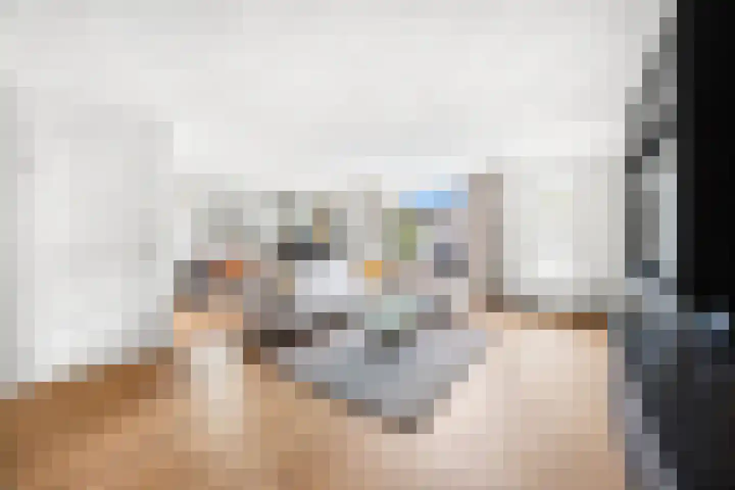 Kraijenhoffschans 16 Zoetermeer thumbnail 11
