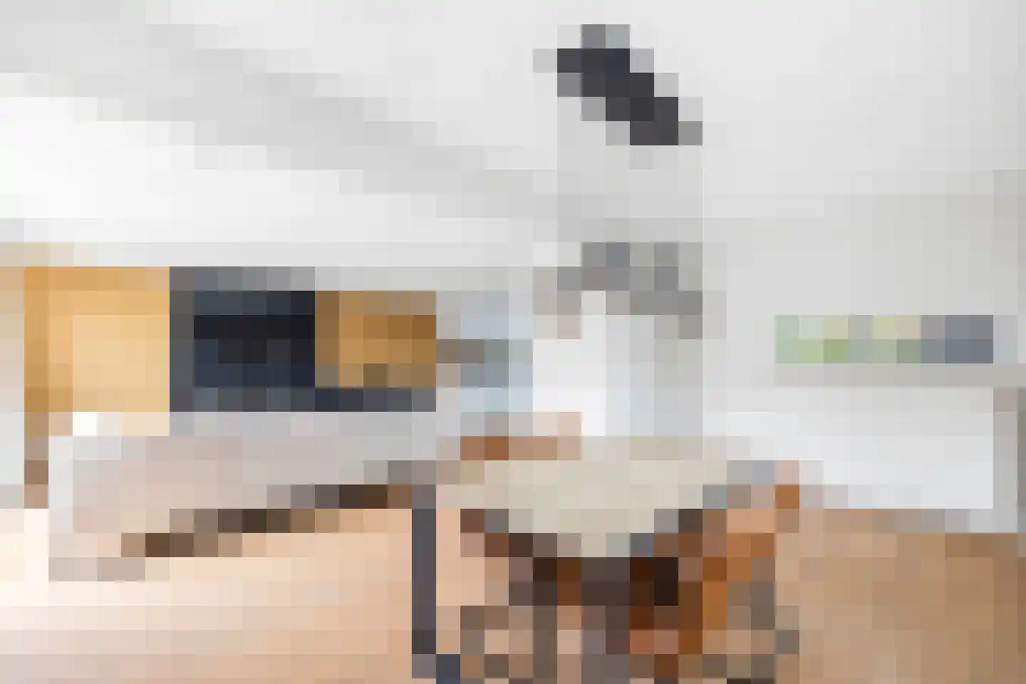 Kraijenhoffschans 16 Zoetermeer thumbnail 15