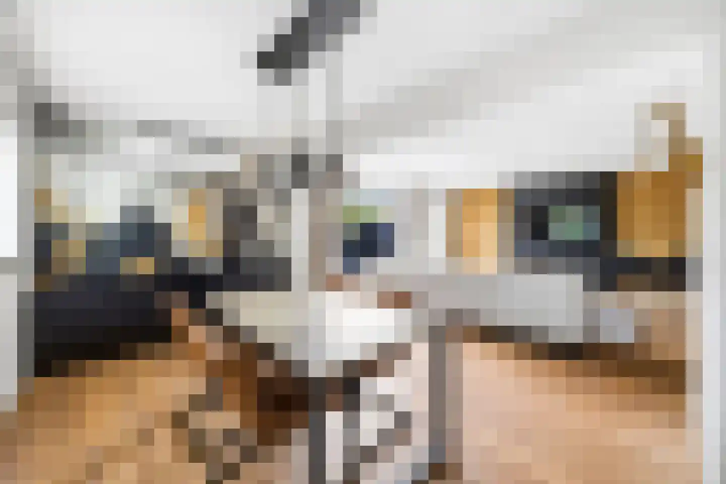 Kraijenhoffschans 16 Zoetermeer thumbnail 16