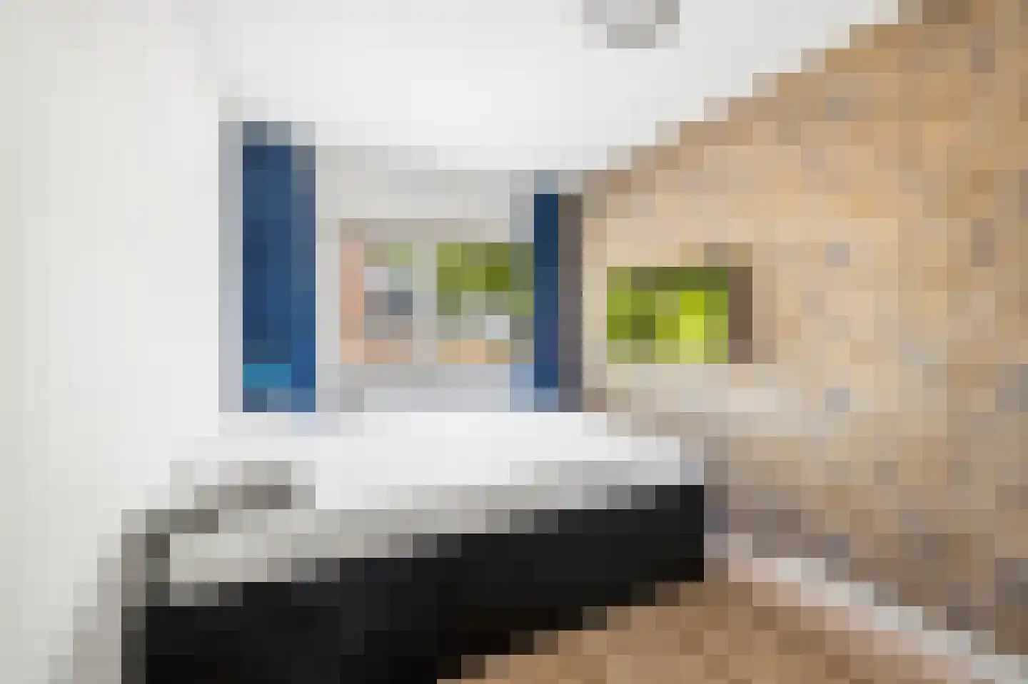 Kraijenhoffschans 16 Zoetermeer thumbnail 28