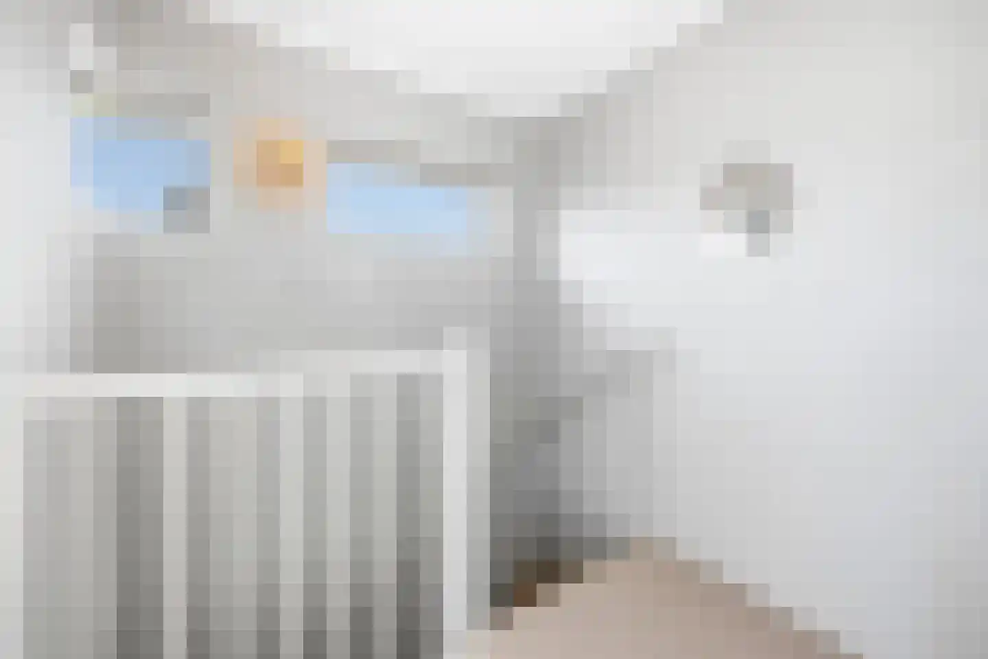 Kraijenhoffschans 16 Zoetermeer thumbnail 30