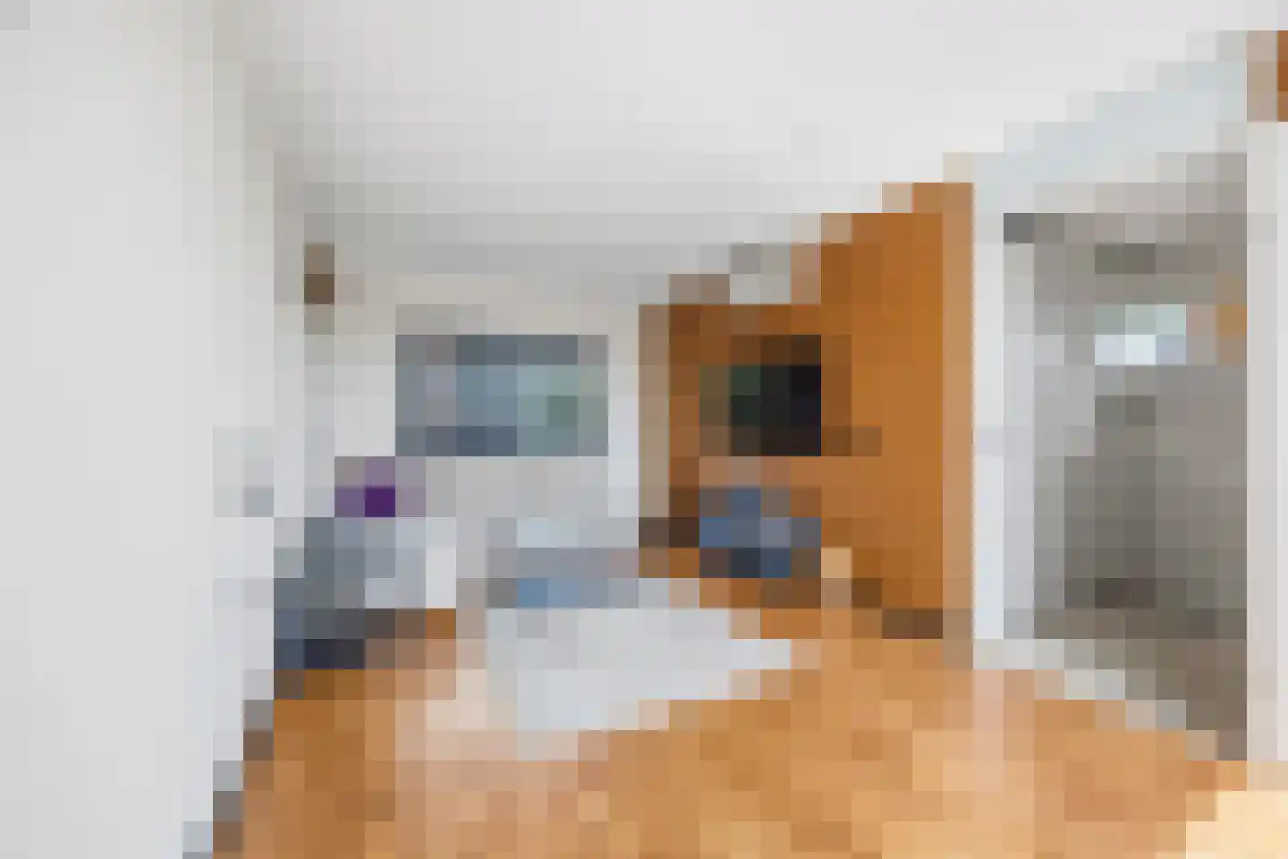 Kraijenhoffschans 16 Zoetermeer thumbnail 32