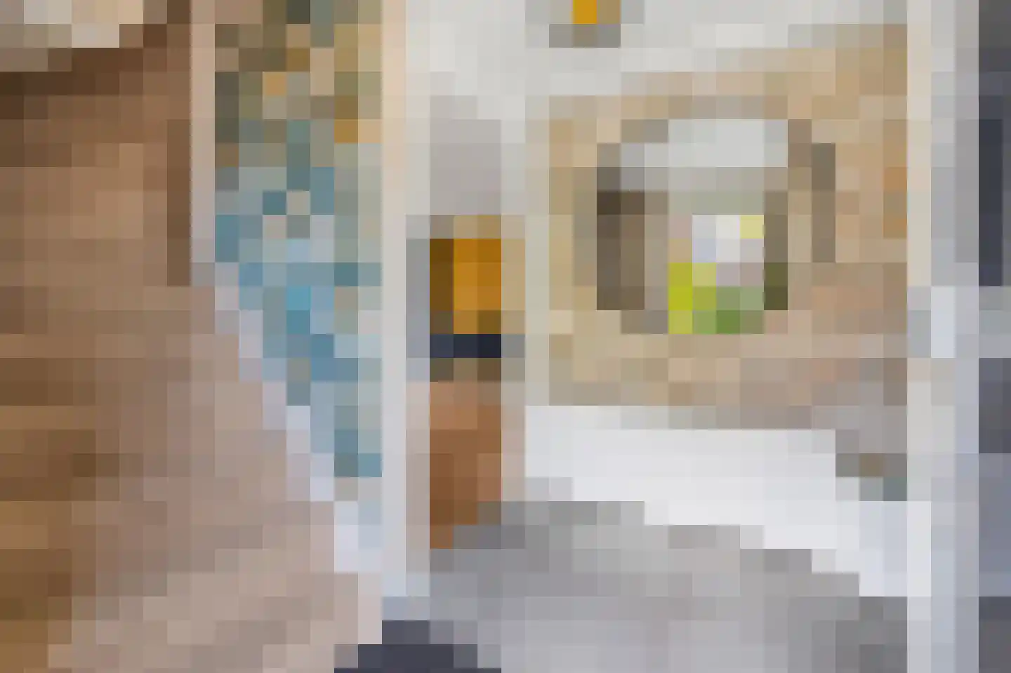 Kraijenhoffschans 16 Zoetermeer thumbnail 6