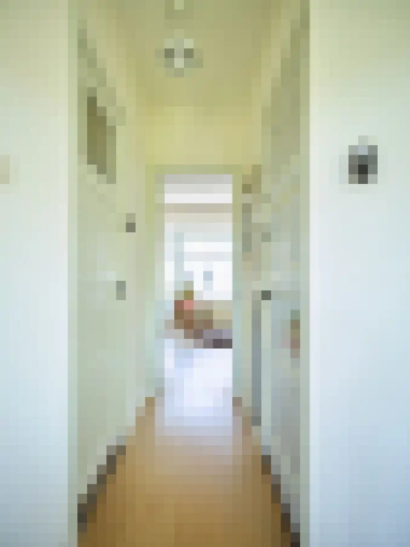 Kraijenhoffstraat 28 2 Amsterdam thumbnail 21