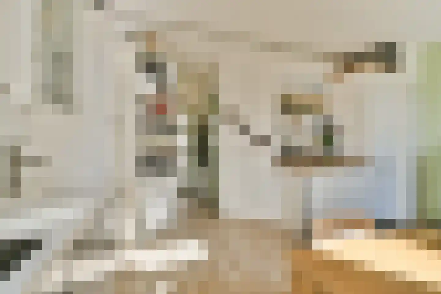 Kraijenhoffstraat 30 3 Amsterdam thumbnail 5