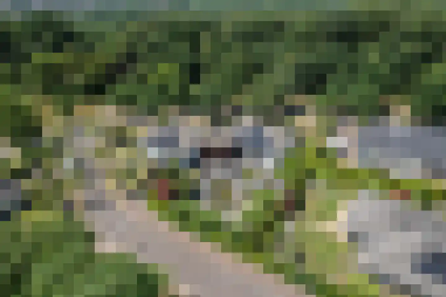 Kraijesteijnlaan 11 Rozendaal thumbnail 42
