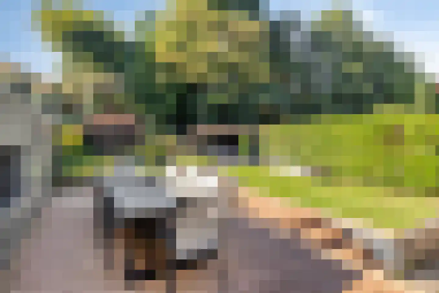 Kraijesteijnlaan 20 Rozendaal thumbnail 37
