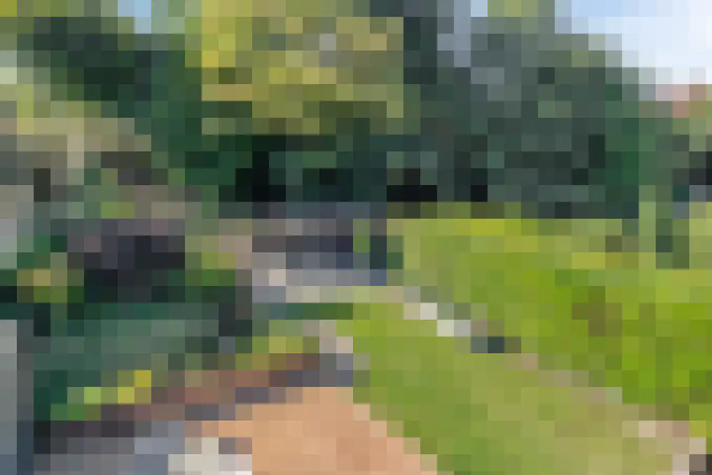 Kraijesteijnlaan 20 Rozendaal thumbnail 39