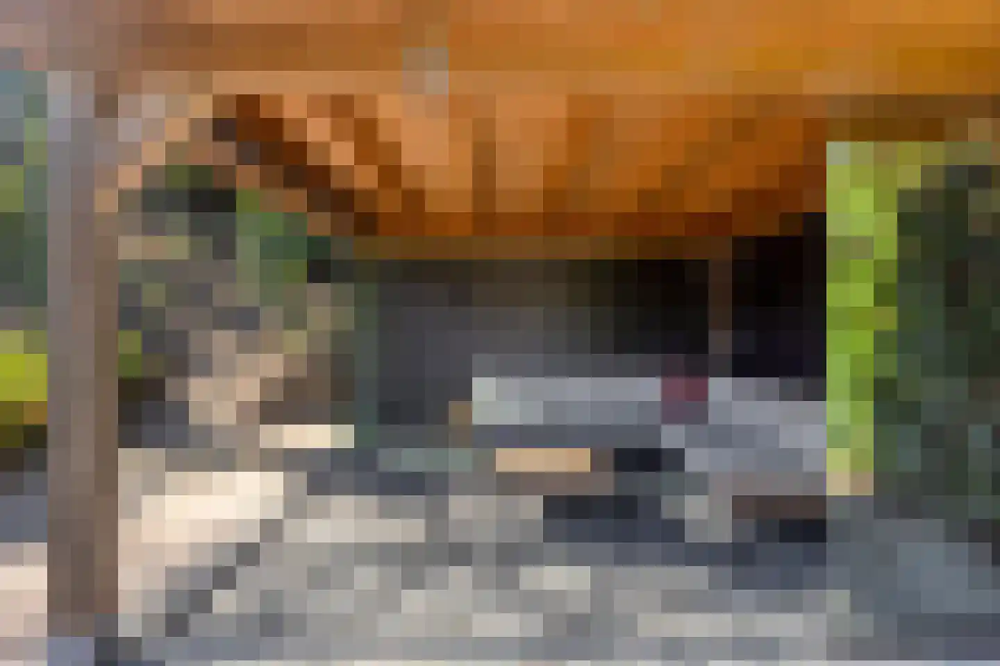 Kraijesteijnlaan 20 Rozendaal thumbnail 42