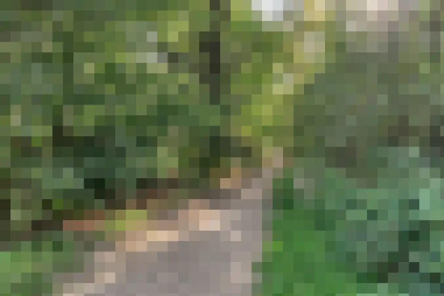 Kraijesteijnlaan 20 Rozendaal thumbnail 51
