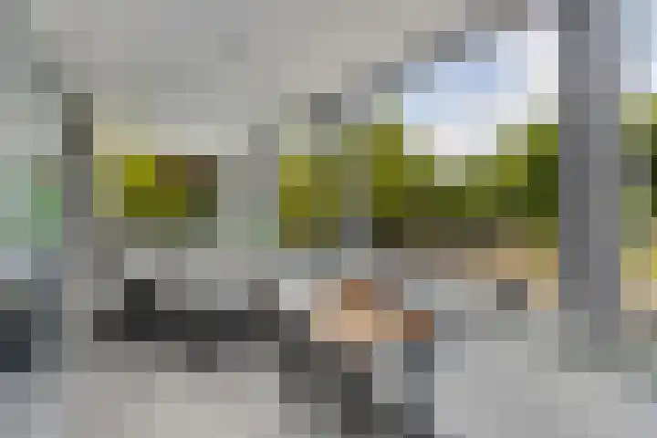 Kraijesteijnlaan 23 Rozendaal thumbnail 14