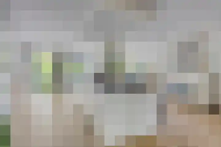 Kraijesteijnlaan 23 Rozendaal thumbnail 17