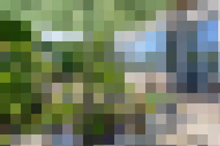 Kraijesteijnlaan 23 Rozendaal thumbnail 34