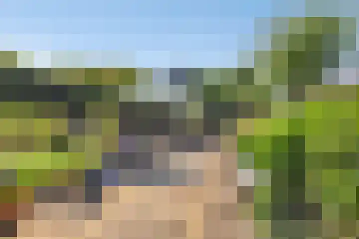Kraijesteijnlaan 23 Rozendaal thumbnail 35