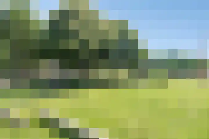 Kraijesteijnlaan 23 Rozendaal thumbnail 37