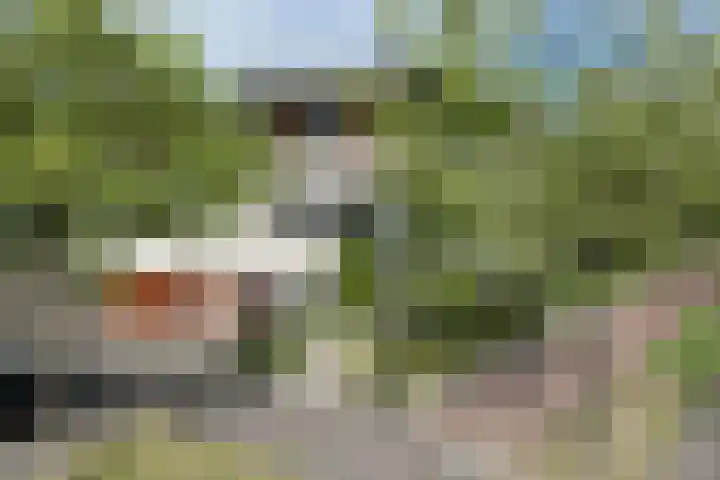 Kraijesteijnlaan 23 Rozendaal thumbnail 4