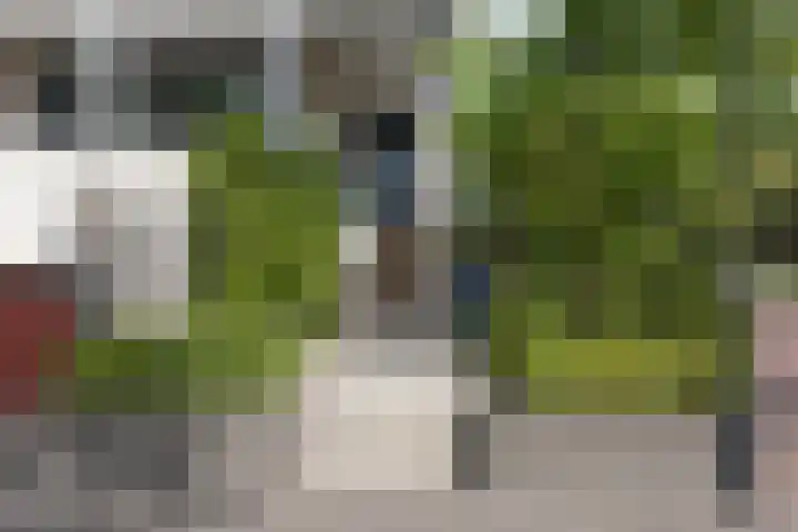 Kraijesteijnlaan 23 Rozendaal thumbnail 6