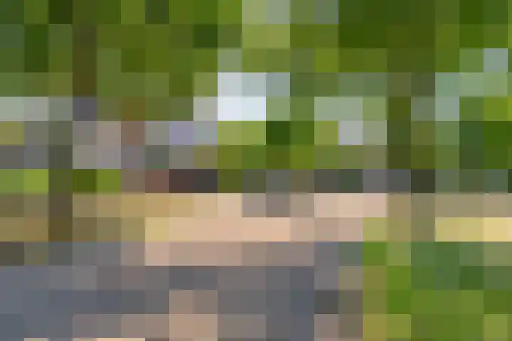 Kraijesteijnlaan 23 Rozendaal thumbnail 8