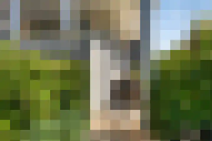 Kraijesteijnlaan 23 Rozendaal thumbnail 9