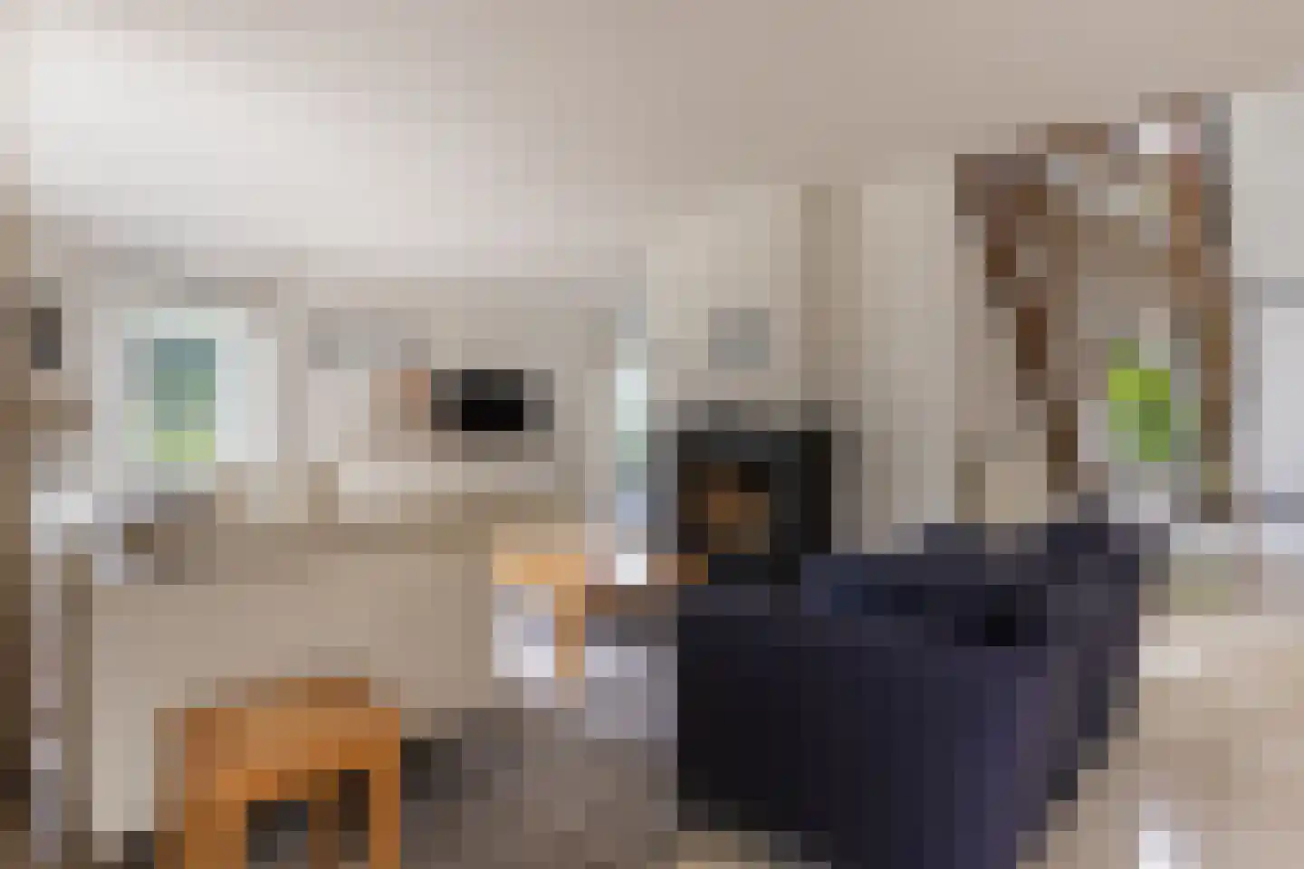 Kraijesteijnlaan 35 Rozendaal thumbnail 13