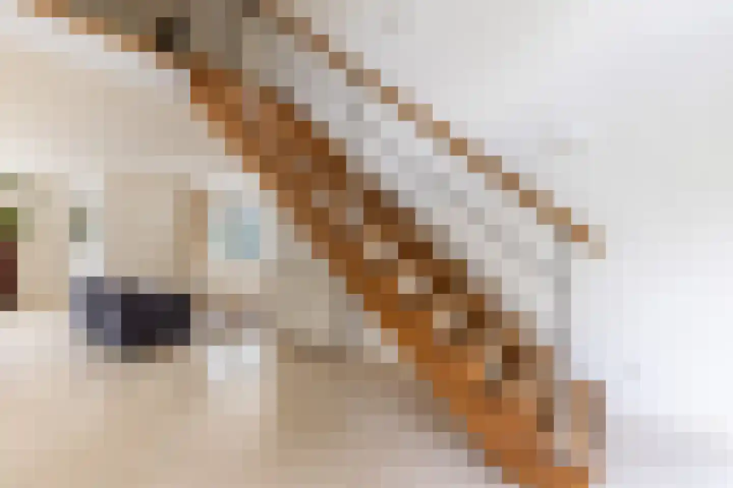 Kraijesteijnlaan 35 Rozendaal thumbnail 34