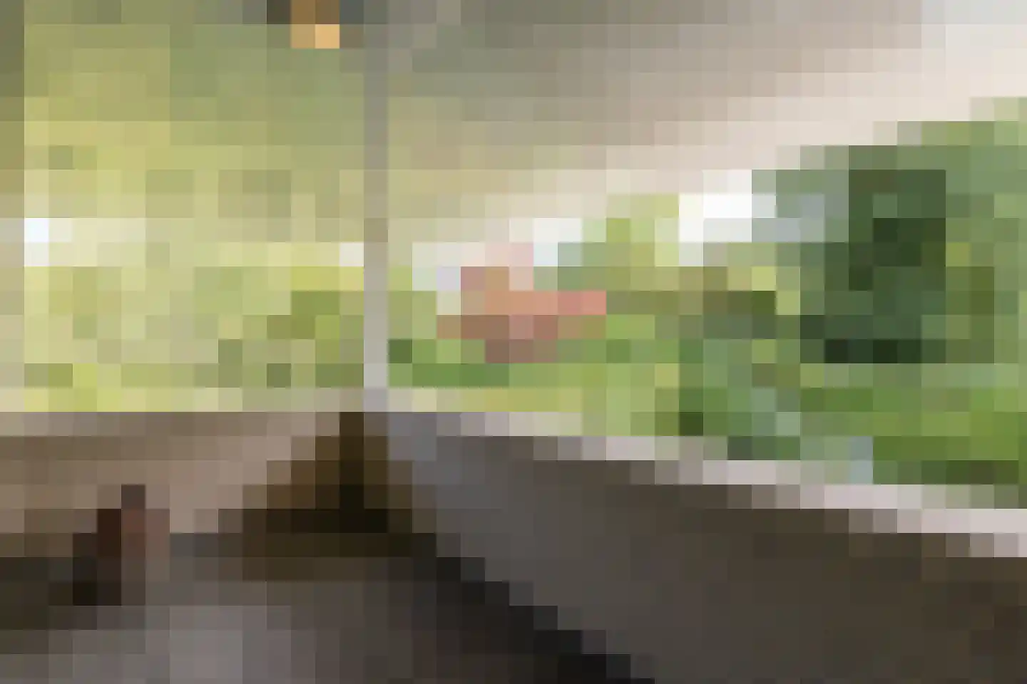 Kraijesteijnlaan 35 Rozendaal thumbnail 49