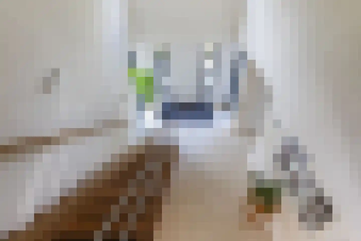 Kraijesteijnlaan 35 Rozendaal thumbnail 55