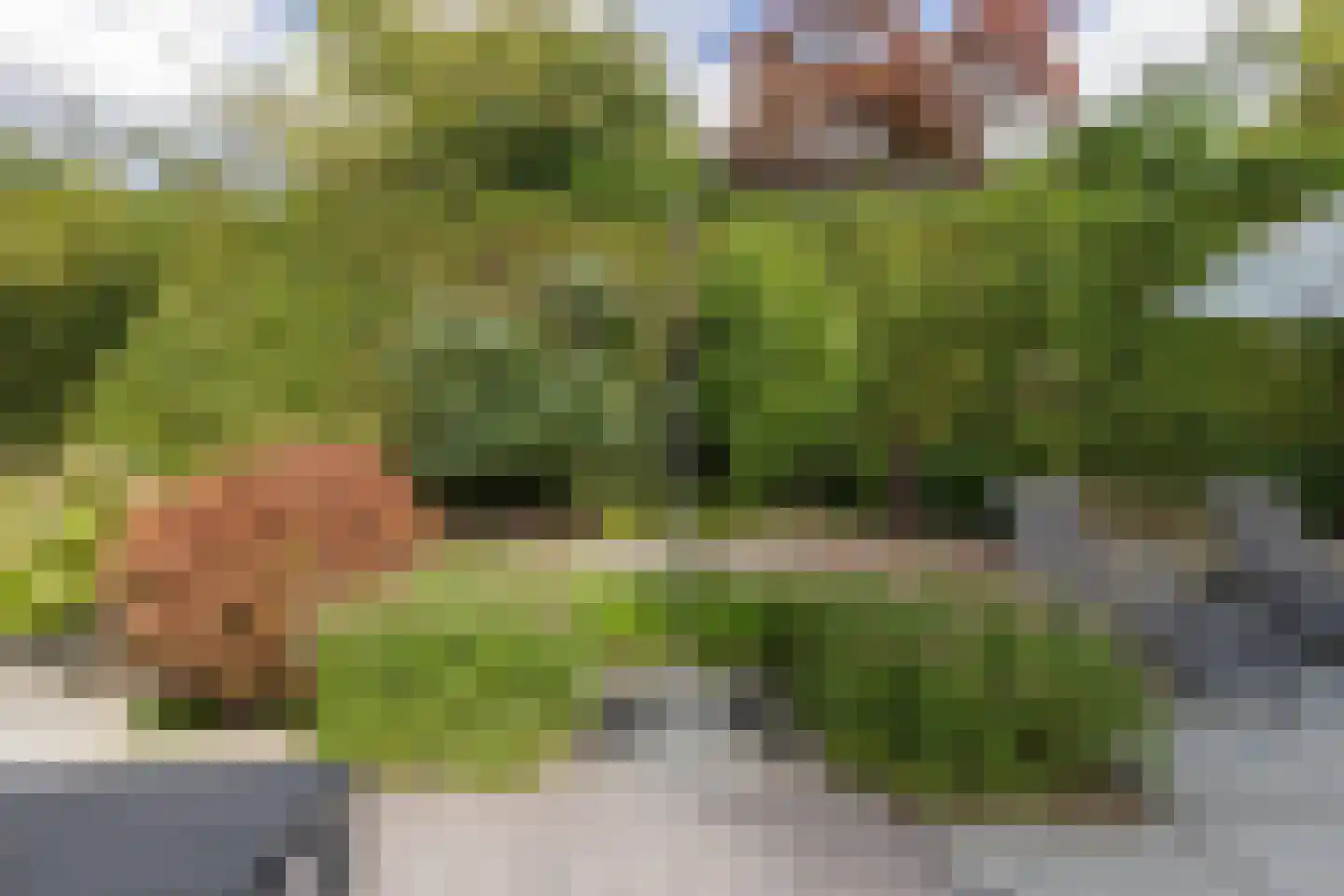 Kraijesteijnlaan 35 Rozendaal thumbnail 70