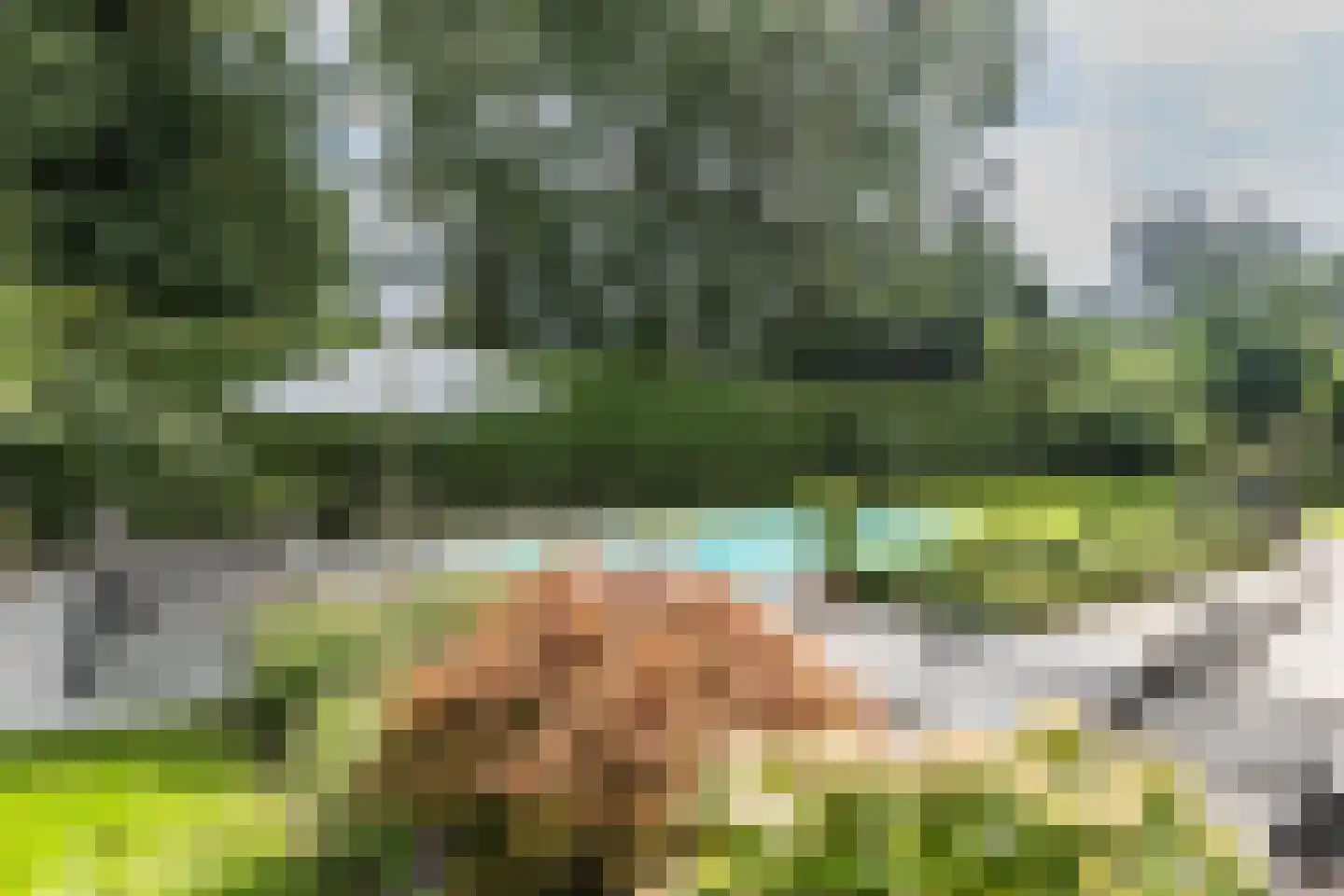 Kraijesteijnlaan 35 Rozendaal thumbnail 71