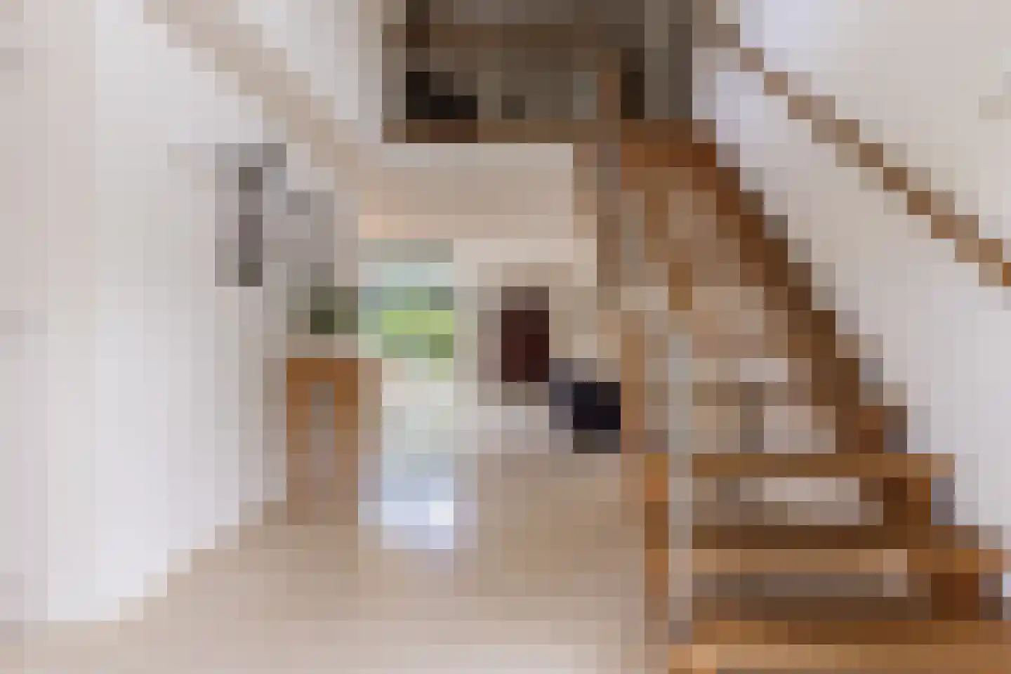 Kraijesteijnlaan 35 Rozendaal thumbnail 9