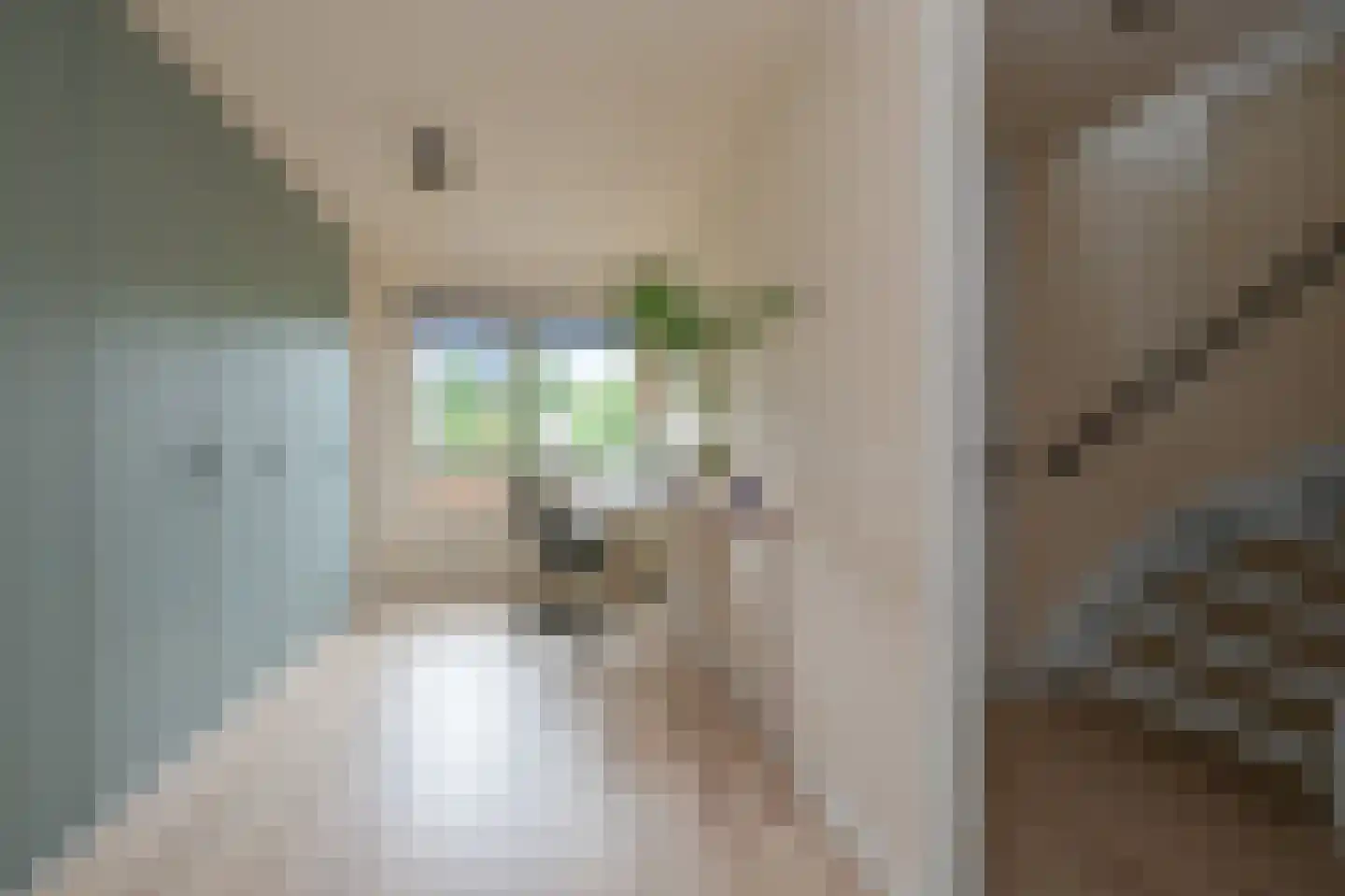 Krakeend 22 Uithoorn thumbnail 31