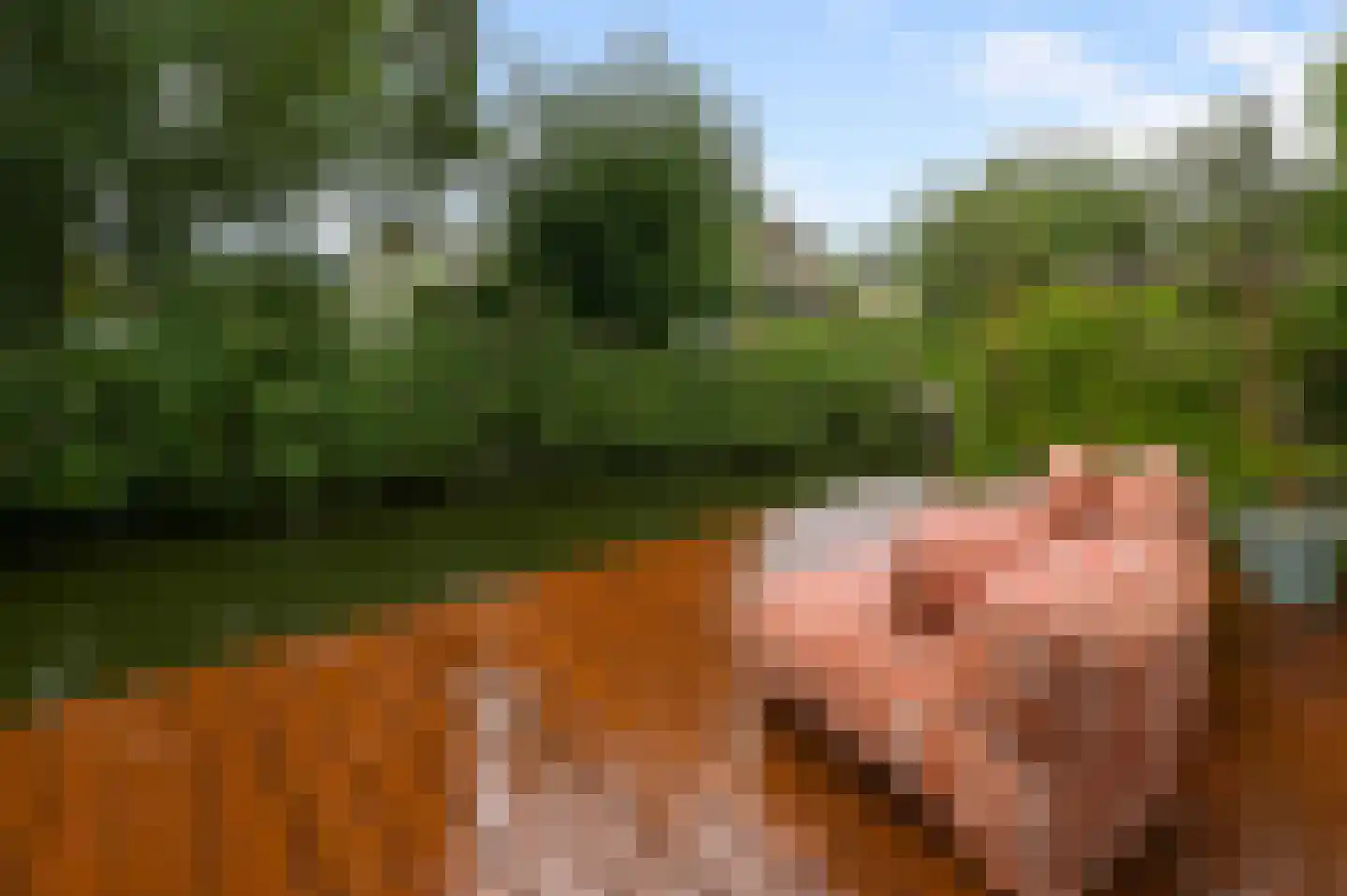Krakeend 22 Uithoorn thumbnail 41