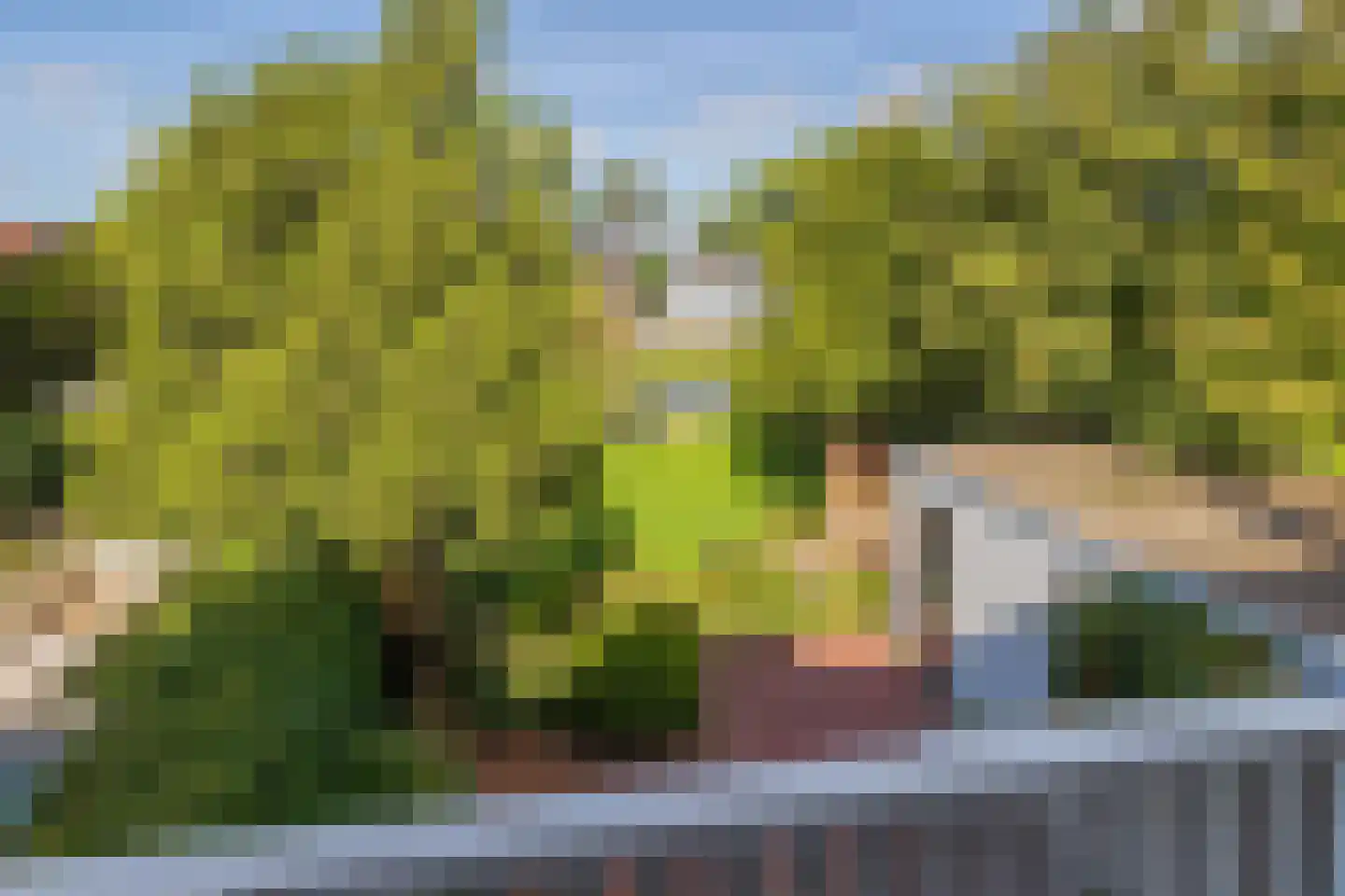Krakeling 12 Bennebroek thumbnail 30