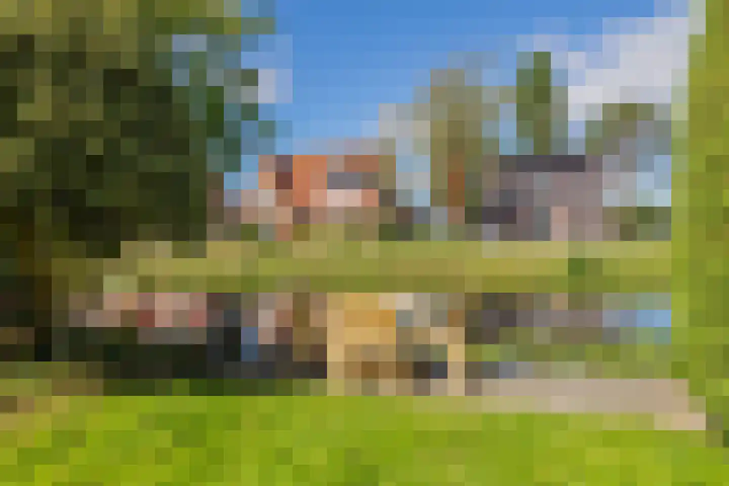 Krakeling 12 Bennebroek thumbnail 45