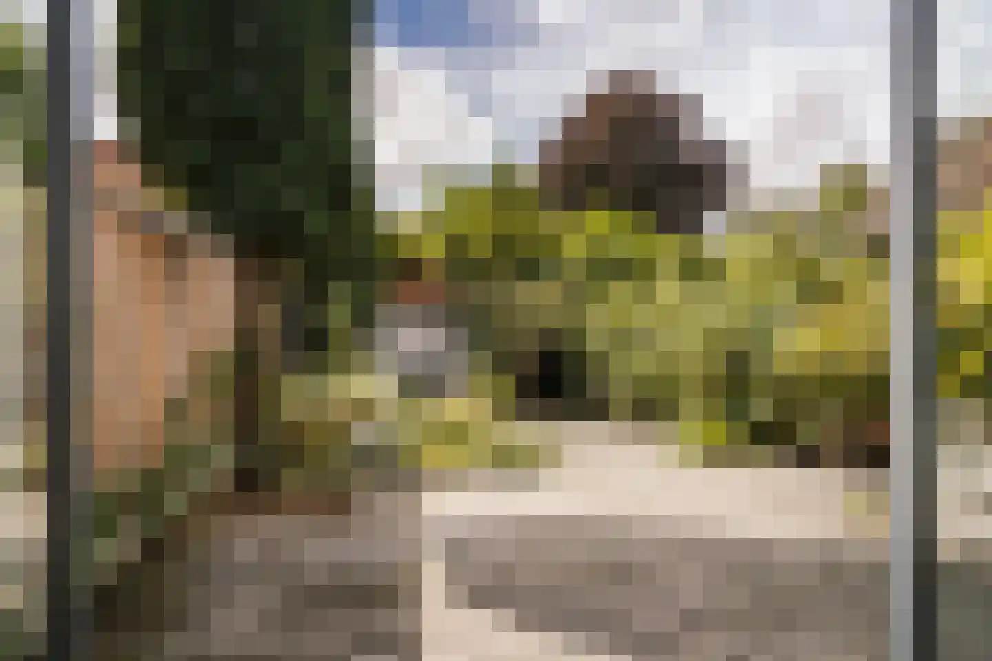 Krakeling 37 Bennebroek thumbnail 18
