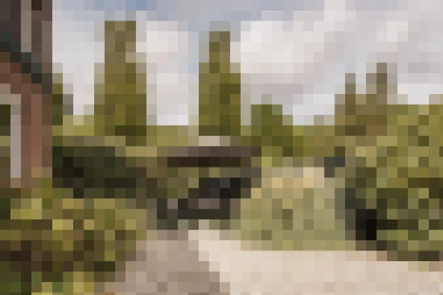 Krakeling 37 Bennebroek thumbnail 47
