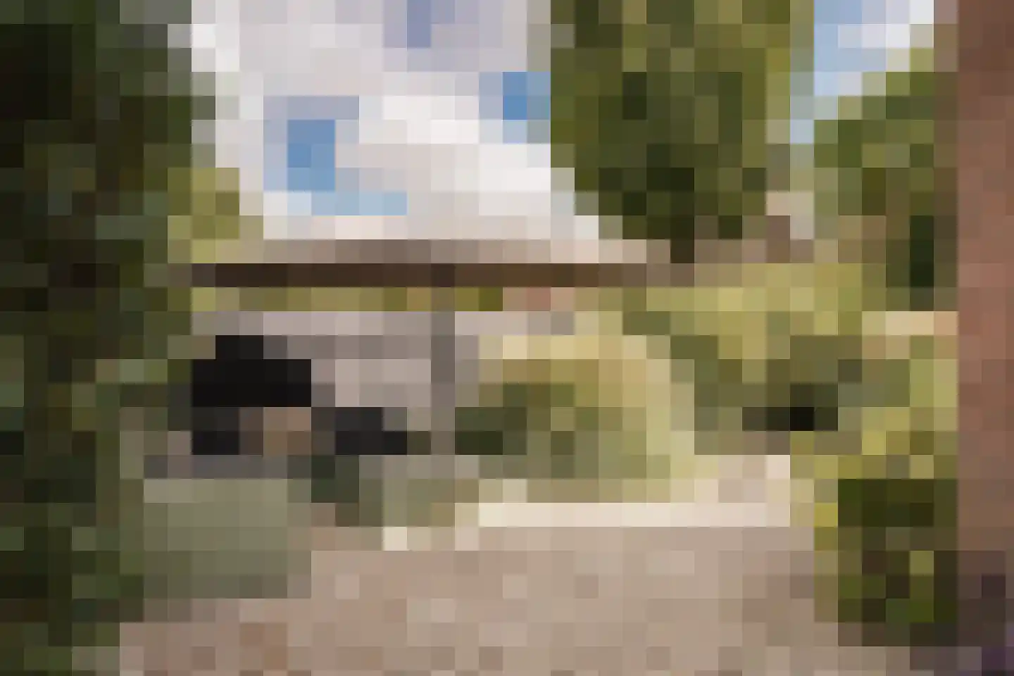 Krakeling 37 Bennebroek thumbnail 48